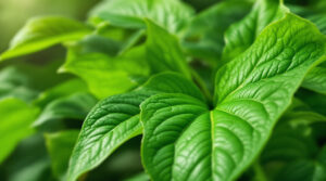 scopri la pianta preistorica che rafforza le ossa più efficacemente del calcio. un rimedio naturale per ossa forti e salute duratura.