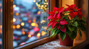 scopri il segreto della temperatura notturna che permette alla stella di natale di durare mesi. un consiglio sorprendente per mantenere la tua pianta sempre fresca e rigogliosa.